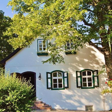 Landsitz Oberhof Petit Hotel Muggendorf  Екстер'єр фото